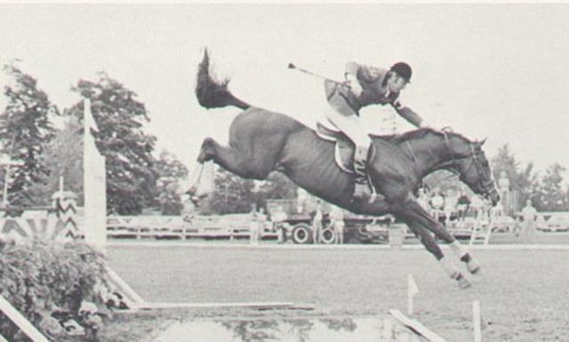 Terrance Millar - Canadian Showjumper